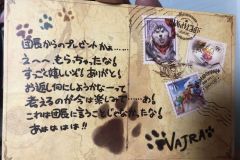 Vajra Back