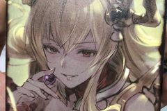 Vira Front