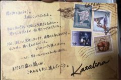 Katalina Back