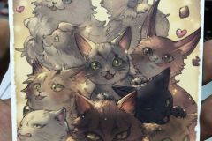 Young Cat Front