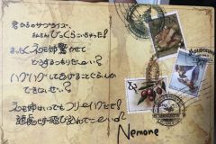 Nemone Back